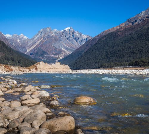 North Sikkim Gangtok Darjeeling 7 Days Tour